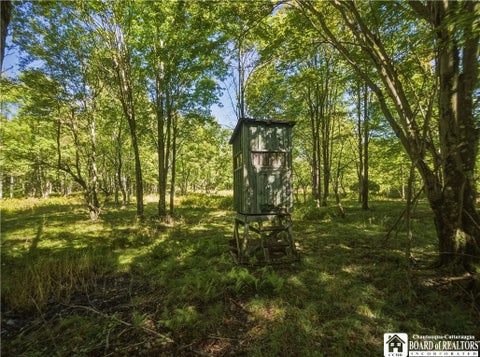 Tiny photo for 2754 Burton Road, Busti, NY 14701 (MLS # R1714606)