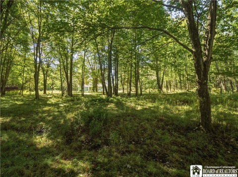 Tiny photo for 2754 Burton Road, Busti, NY 14701 (MLS # R1714606)