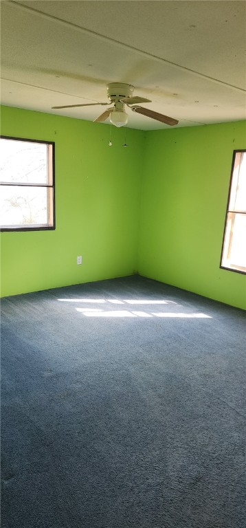 159 Doris Drive, Manchester, New York image 12