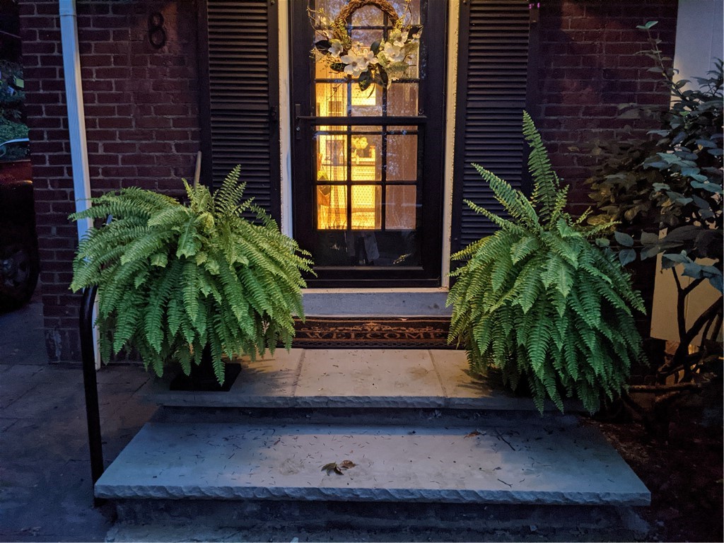 8 Nunda Blvd