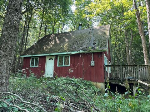 Vacant Land For Sale - 9272 Morrison Road<br/> Allegany County, Rushford, NY 14060