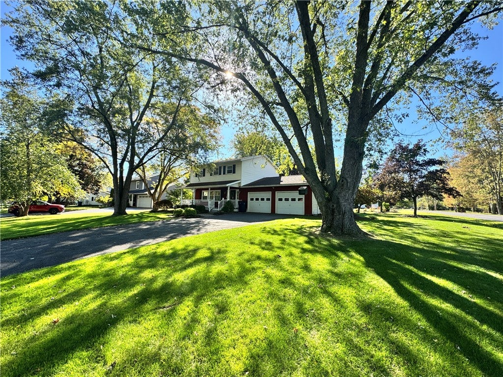 14 Carol Avenue