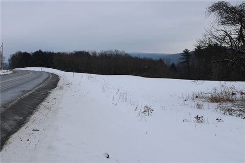 Photo of State Highway 166, Cooperstown, NY 13326 (MLS # R1584622)