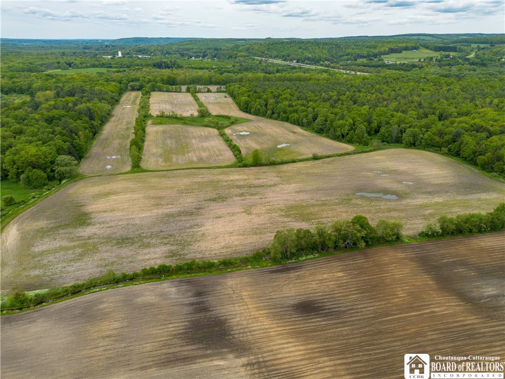 3051 S Route 62, Poland, New York image 3