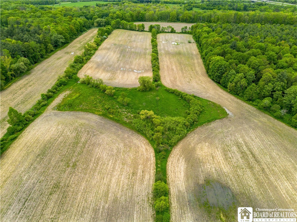 3051 S Route 62, Poland, New York image 4