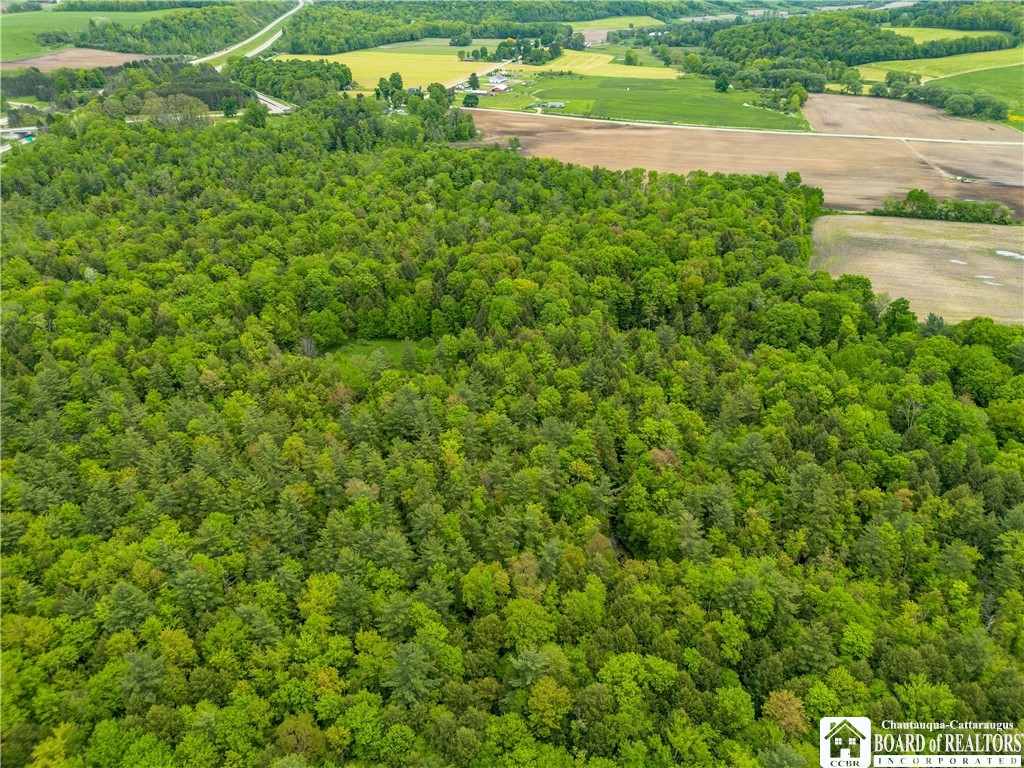 3051 S Route 62, Poland, New York image 14