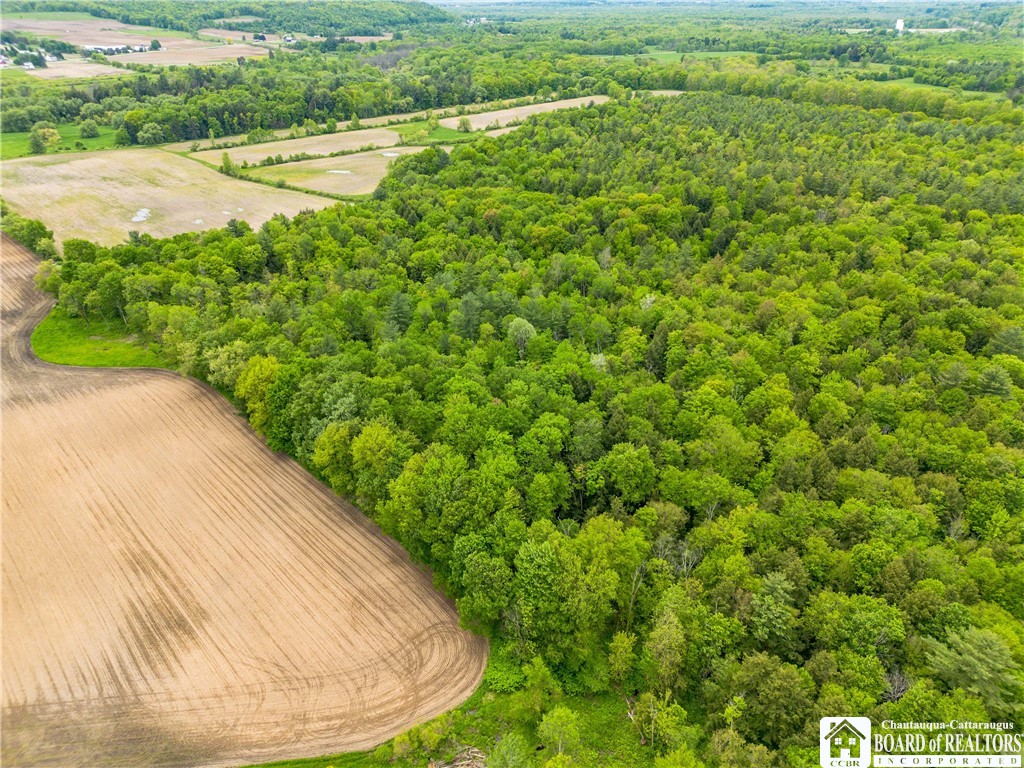 3051 S Route 62, Poland, New York image 18