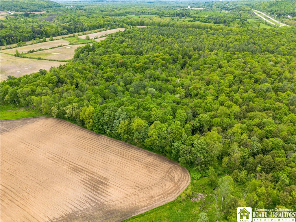 3051 S Route 62, Poland, New York image 17