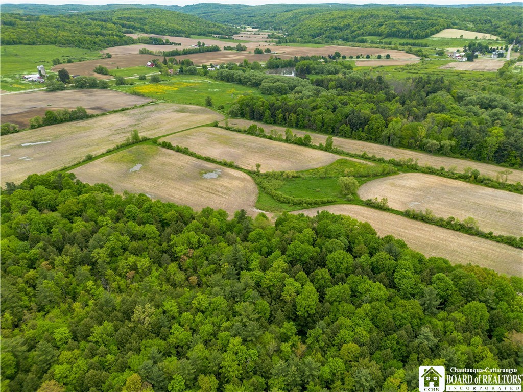 3051 S Route 62, Poland, New York image 13