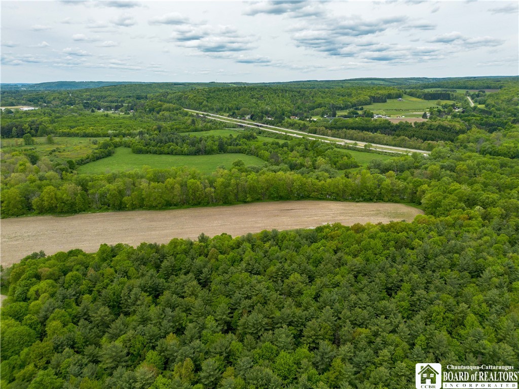 3051 S Route 62, Poland, New York image 10