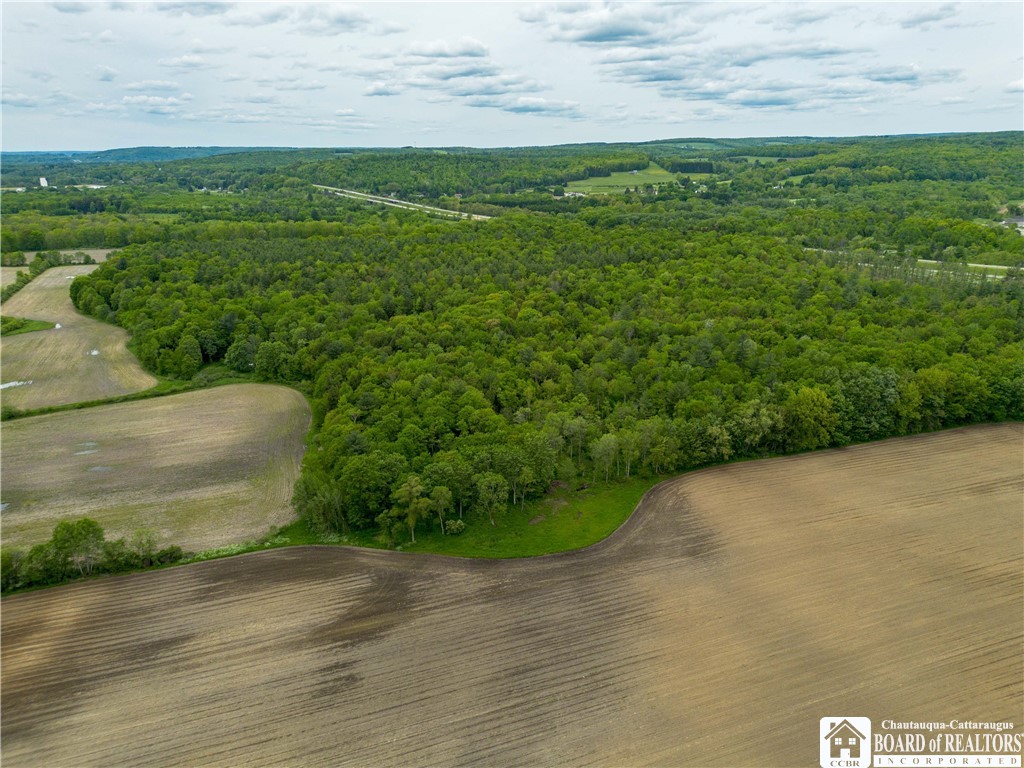 3051 S Route 62, Poland, New York image 15