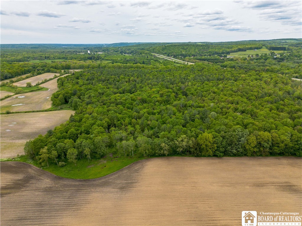 3051 S Route 62, Poland, New York image 16