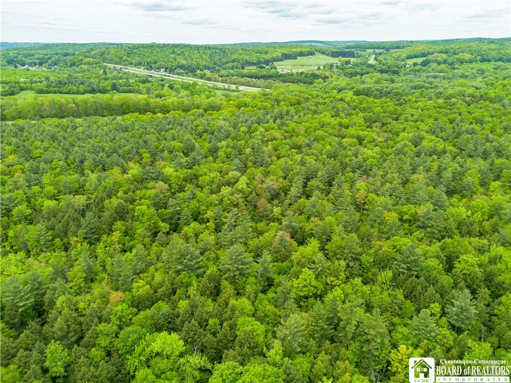 3051 S Route 62, Poland, New York image 8
