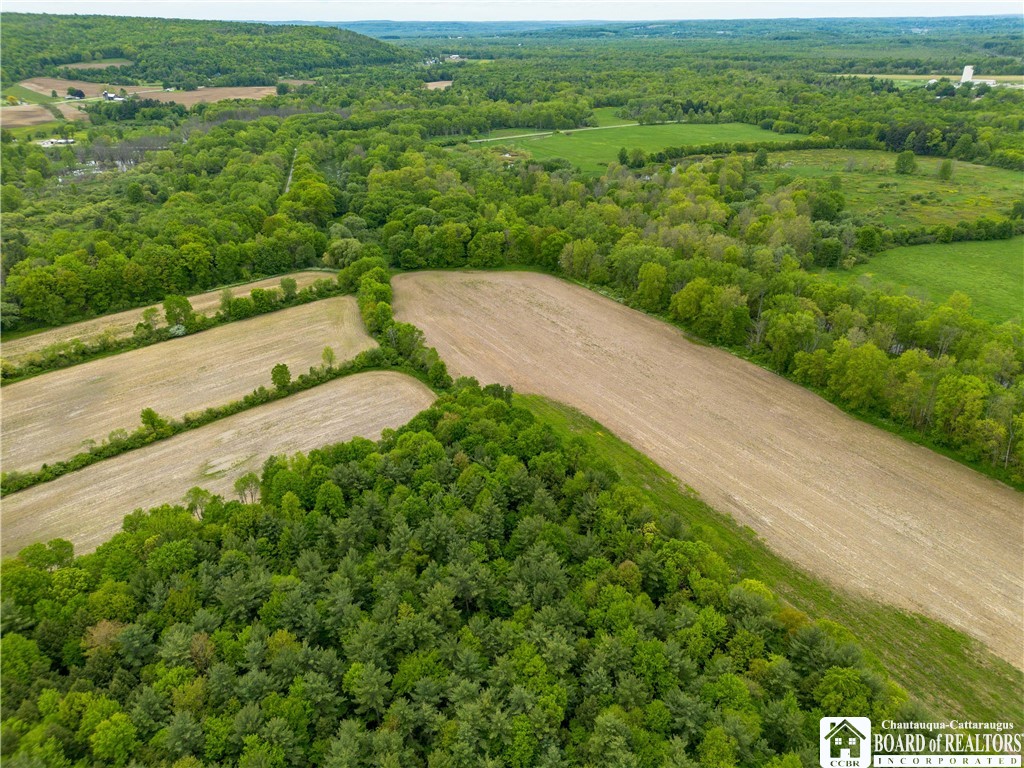 3051 S Route 62, Poland, New York image 12