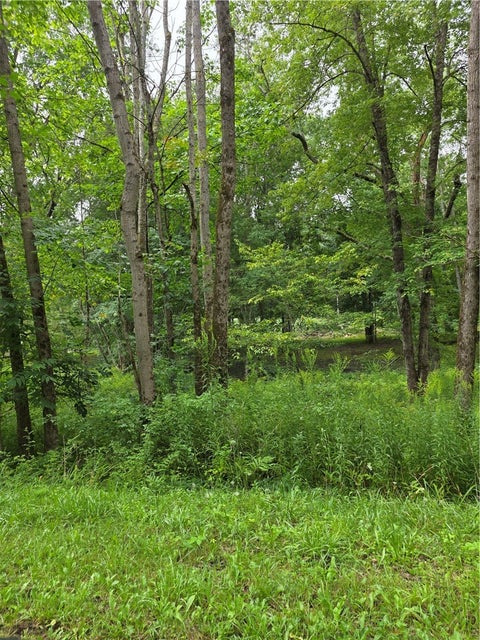 Vacant Land For Sale - Duffytown Road<br/> Mckean County, Eldred, PA 16731