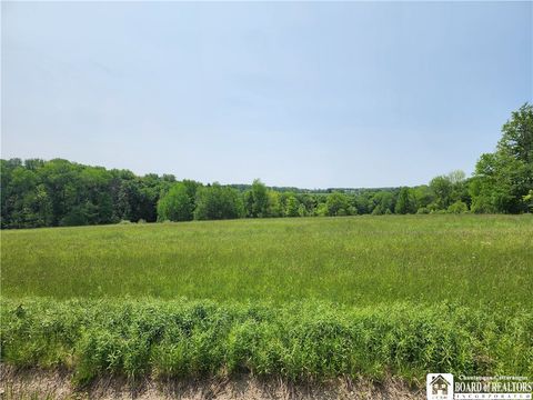 Vacant Land For Sale - County Road 13<br/> Ripley, NY 14775