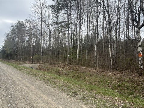 Vacant Land For Sale - VL Wagner Road<br/> Dansville, NY 14437