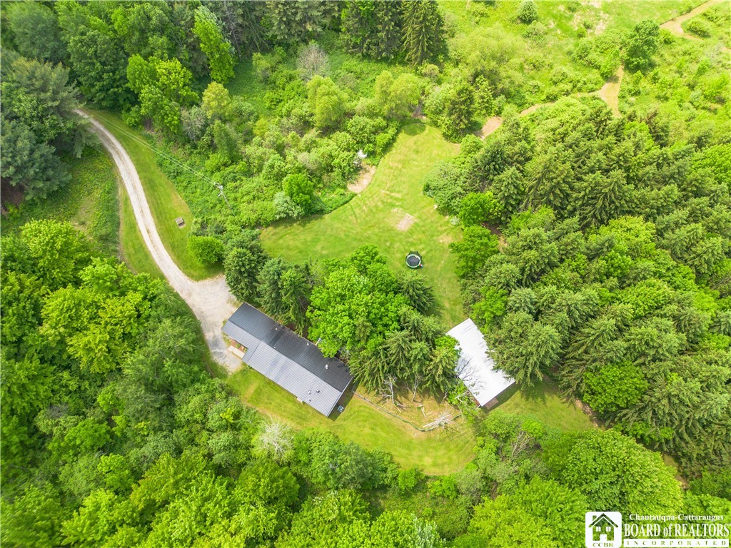 12128 Ruckh Hill Road, Leon, New York image 26