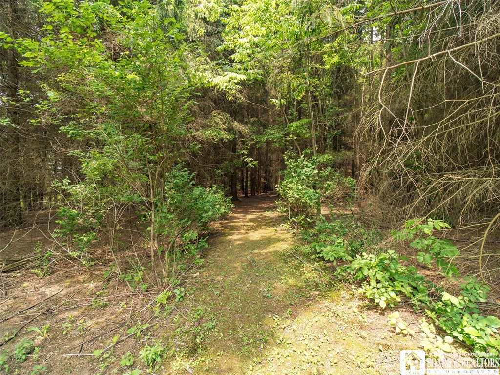 12128 Ruckh Hill Road, Leon, New York image 37