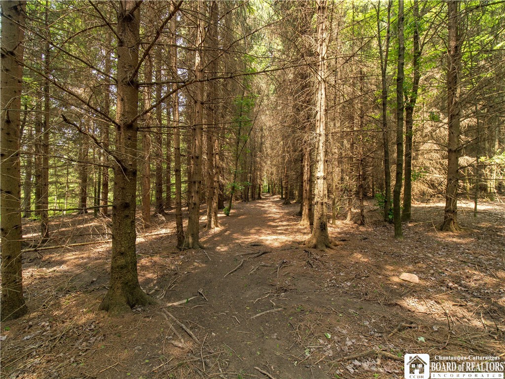 12128 Ruckh Hill Road, Leon, New York image 7