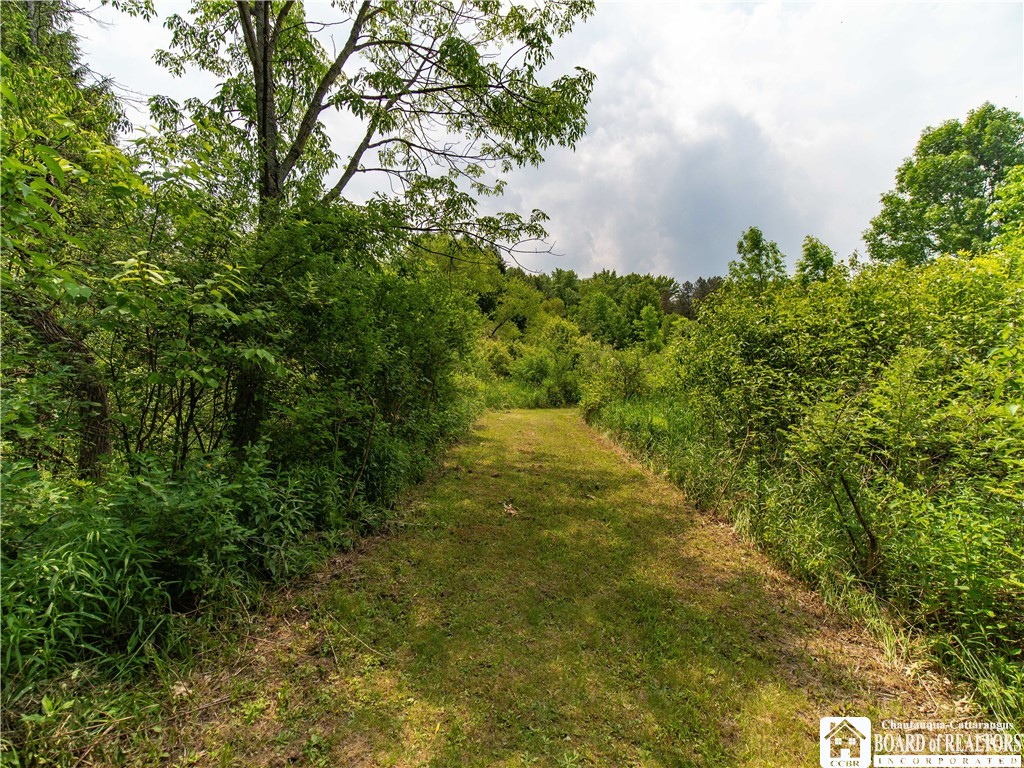 12128 Ruckh Hill Road, Leon, New York image 6