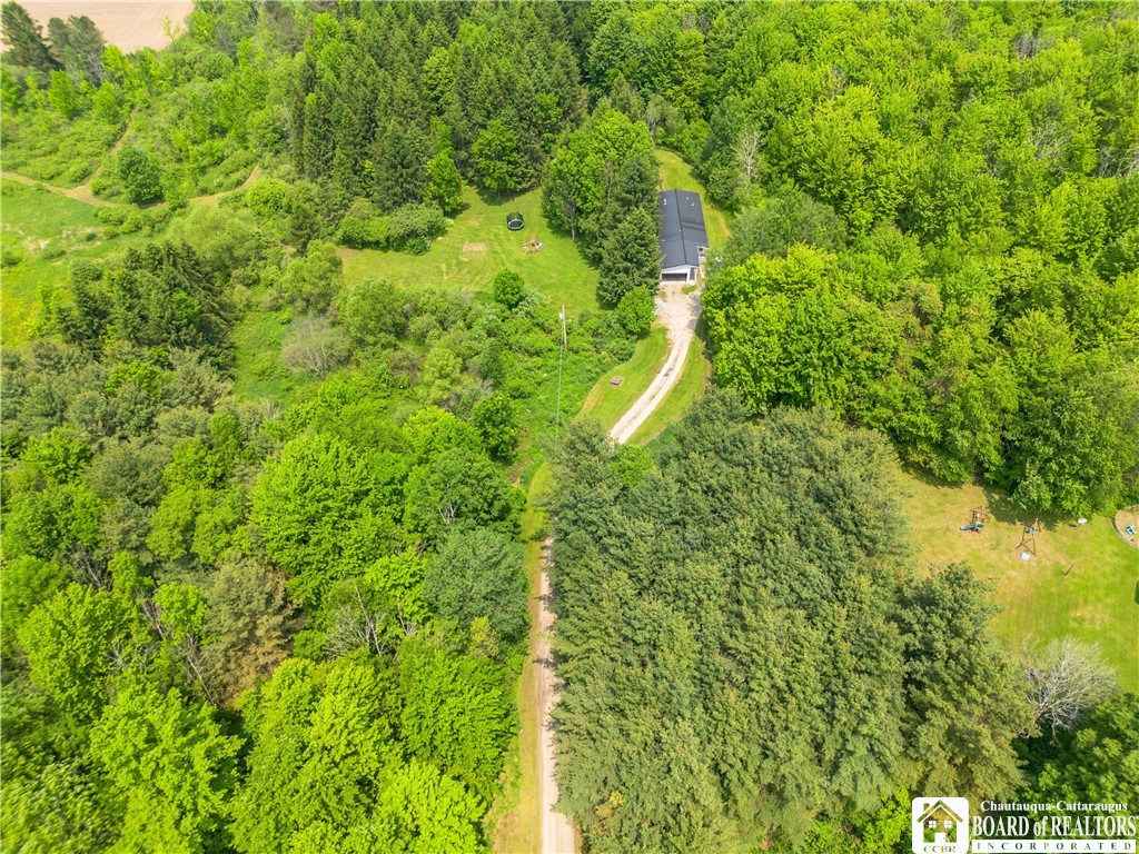 12128 Ruckh Hill Road, Leon, New York image 25
