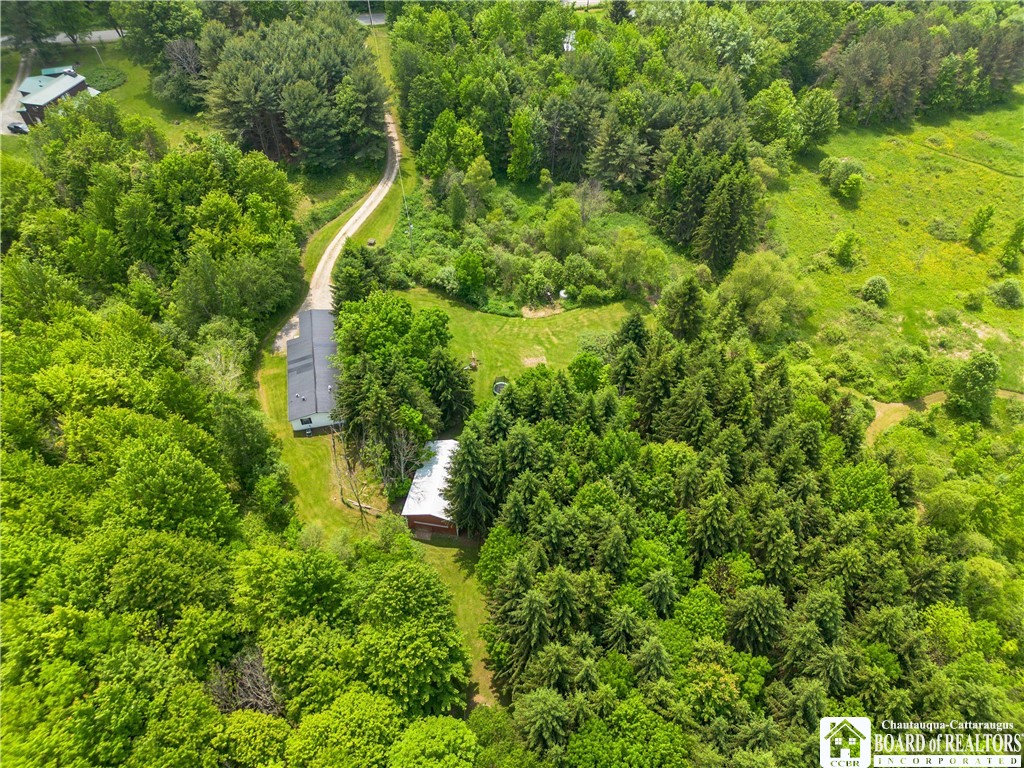 12128 Ruckh Hill Road, Leon, New York image 27