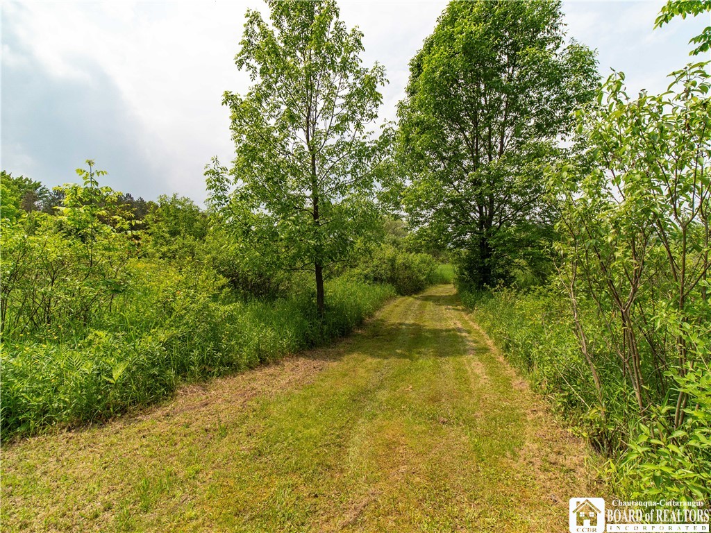 12128 Ruckh Hill Road, Leon, New York image 36