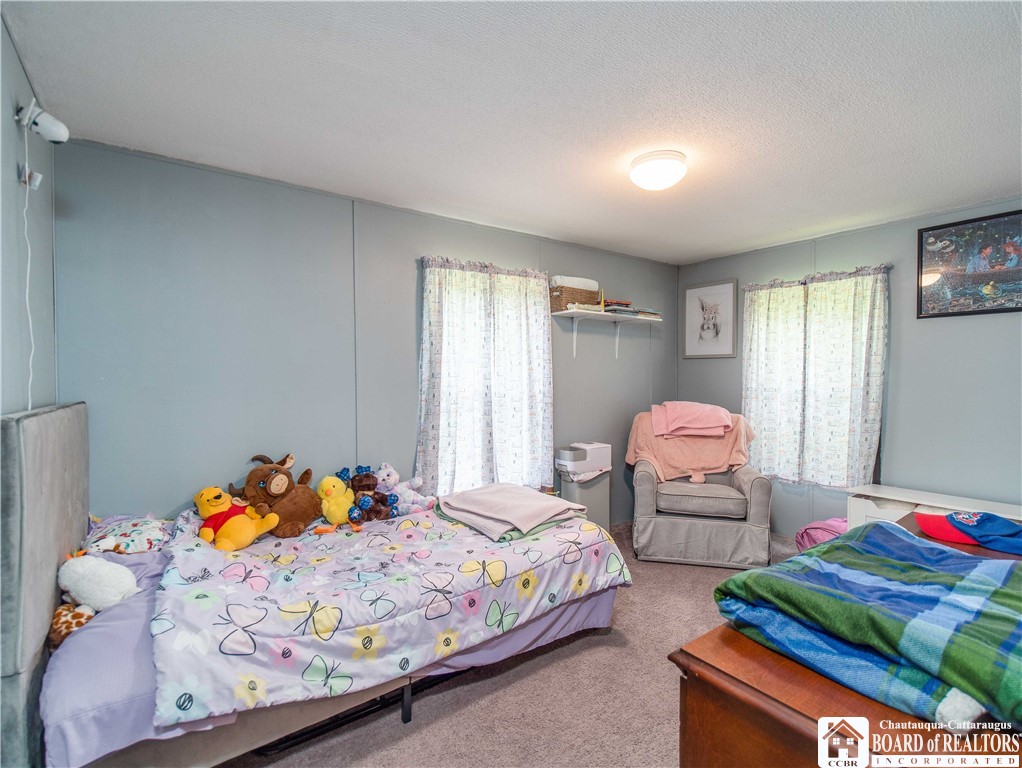 12128 Ruckh Hill Road, Leon, New York image 16