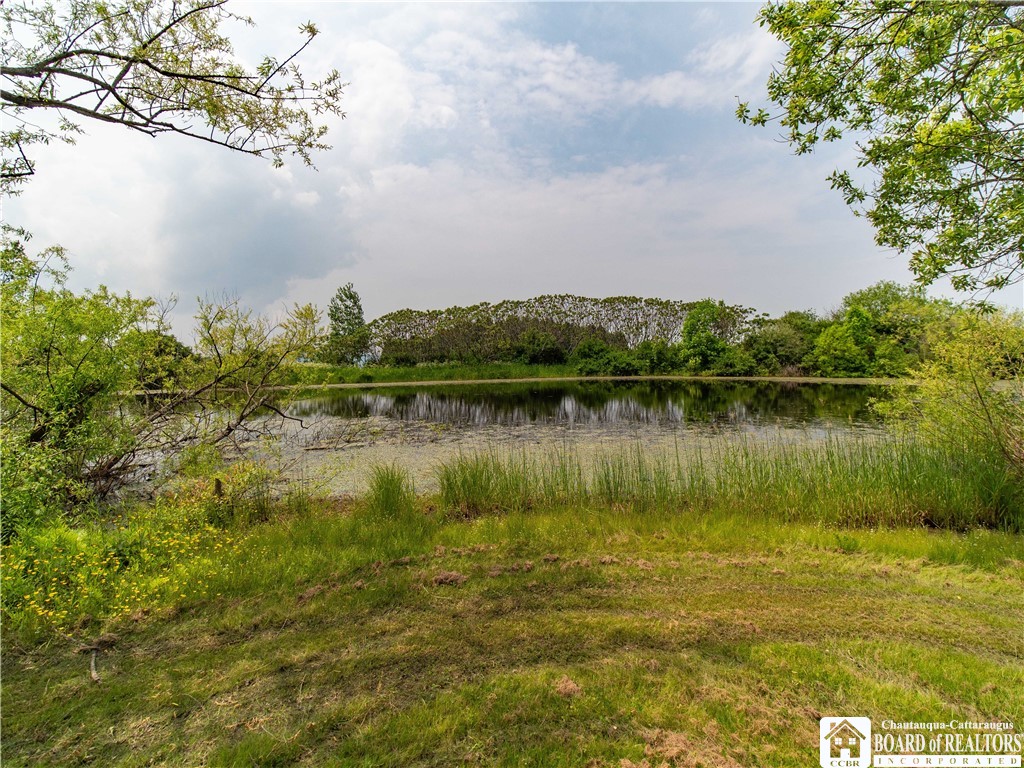 12128 Ruckh Hill Road, Leon, New York image 29