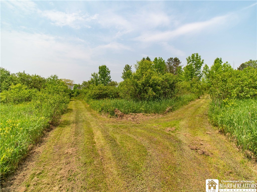 12128 Ruckh Hill Road, Leon, New York image 8