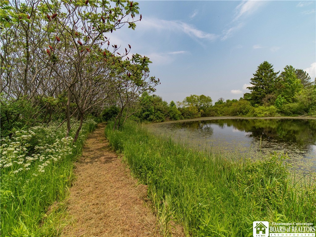 12128 Ruckh Hill Road, Leon, New York image 30