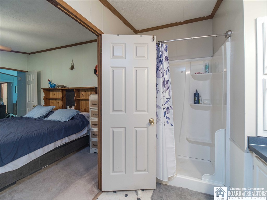 12128 Ruckh Hill Road, Leon, New York image 21