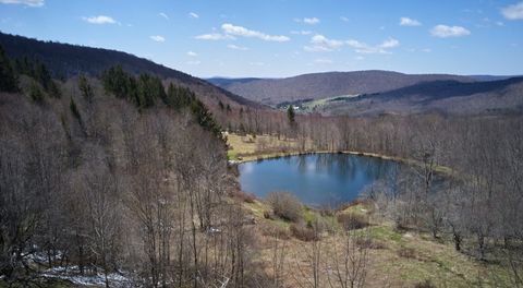 Photo of 1855 Davis Hollow Road, Andes, NY 13731 (MLS # R1678969)