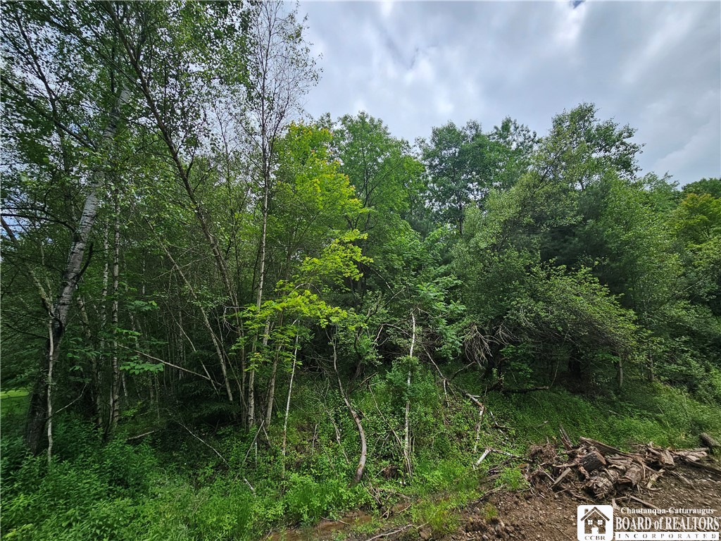 738 four mile road