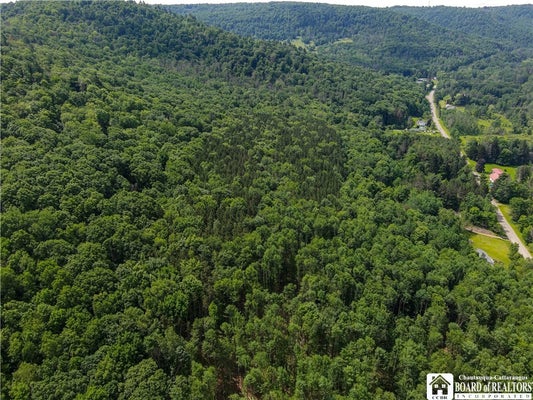 738 FOUR MILE RD, ALLEGANY, NY 14706 - Image 4bdd7cfcfa2e0bb6c72b6f21faddb662/265880831