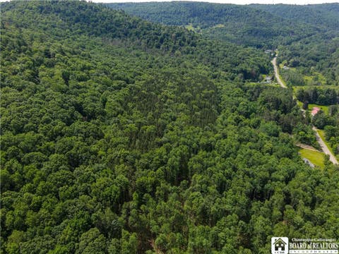 Vacant Land For Sale - 738 Four Mile Road<br/> Cattaraugus County, Allegany, NY 14706