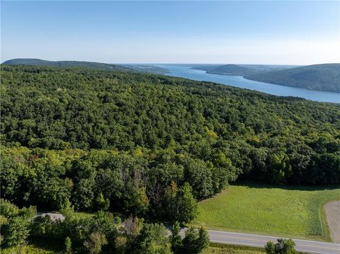 S Gannett Hill Road Naples NY 14512