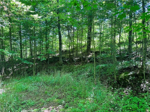 Tiny photo for 287 Dirt Road, Delhi, NY 13752 (MLS # R1705277)