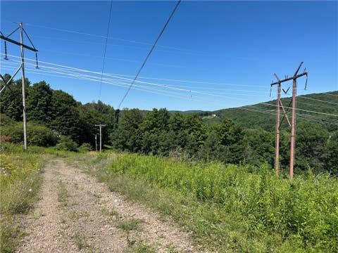 Tiny photo for 287 Dirt Road, Delhi, NY 13752 (MLS # R1705277)