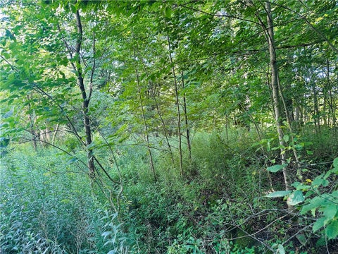 Tiny photo for 287 Dirt Road, Delhi, NY 13752 (MLS # R1705277)