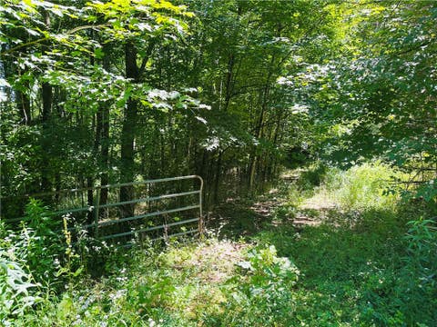 Vacant Land For Sale - 287 Dirt Road<br/> Delaware County, Delhi, NY 13752