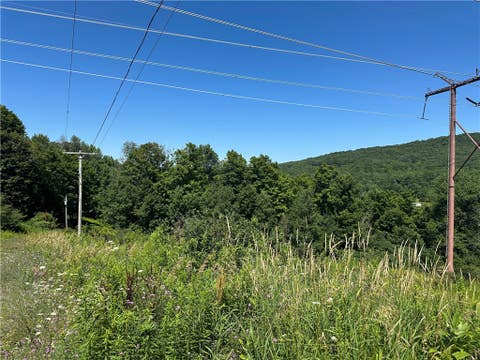 Tiny photo for 287 Dirt Road, Delhi, NY 13752 (MLS # R1705277)