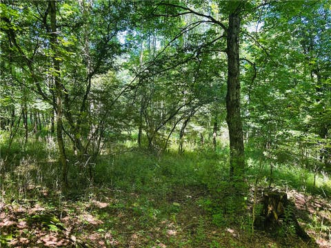 Tiny photo for 287 Dirt Road, Delhi, NY 13752 (MLS # R1705277)