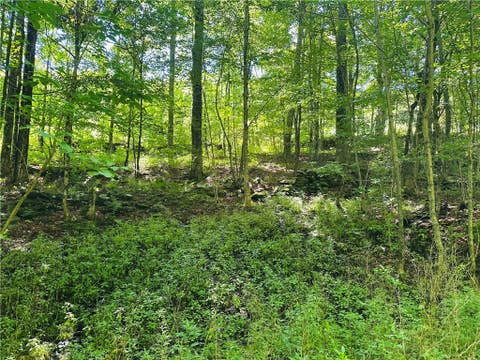 Tiny photo for 287 Dirt Road, Delhi, NY 13752 (MLS # R1705277)