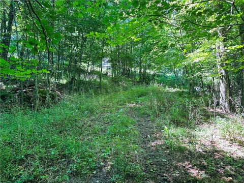 Tiny photo for 287 Dirt Road, Delhi, NY 13752 (MLS # R1705277)