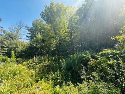 Tiny photo for 287 Dirt Road, Delhi, NY 13752 (MLS # R1705277)