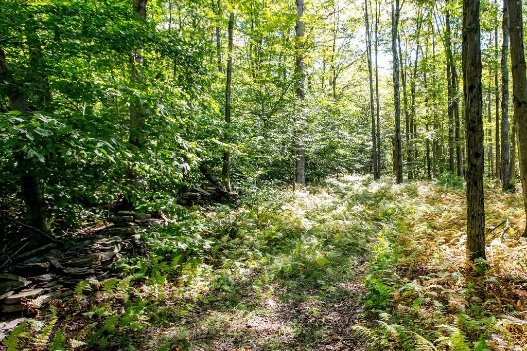 Lot 2 warren road