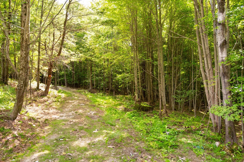 Lot 2 warren road