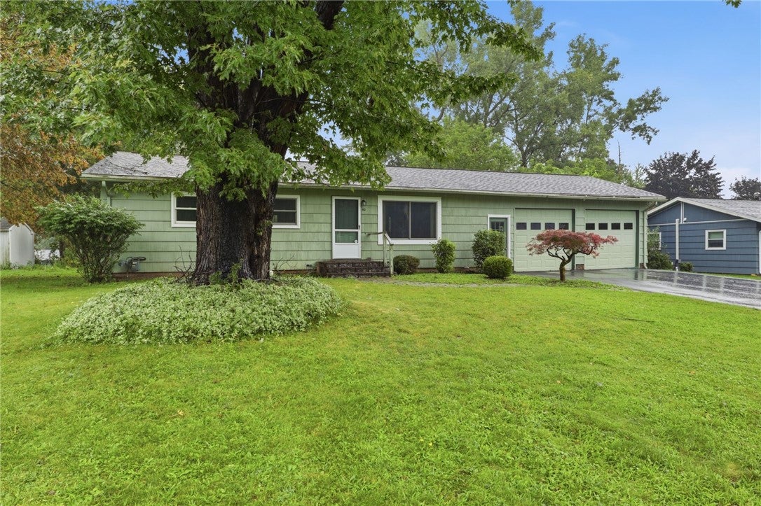 40 Rouge Road
